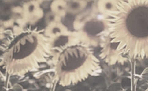 ��д̫�����ľ���