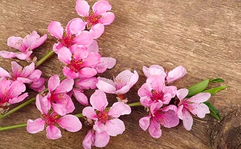 ��д�һ��ľ���