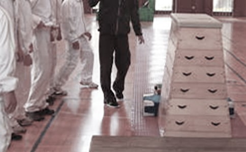 体育教学心得体会合集15篇