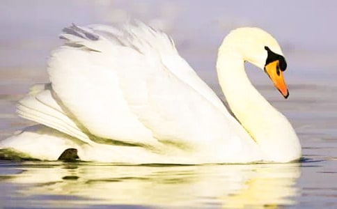 ����С�ŵ���졷�����10ƪ