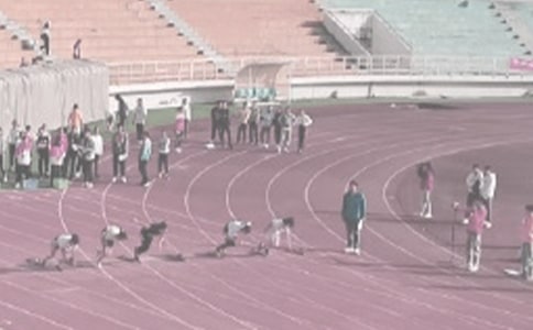 �ﾶѵ�������ܽ�