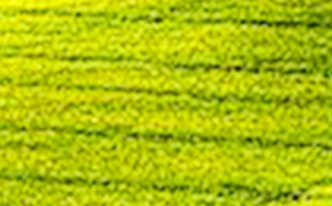 乡村田野的作文300字3篇