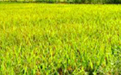 ��������Ұ����300����ƪ