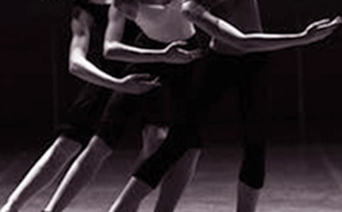 �ҵİ����ǻ�����������Ӣ����ô���