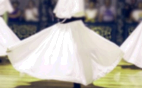 �����˵˵������Ȧ