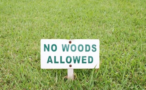 ����Ȫ���й���ʵ�е�·��ͨ���Ƶ�ͨ��