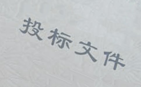 投标承诺书(优选)