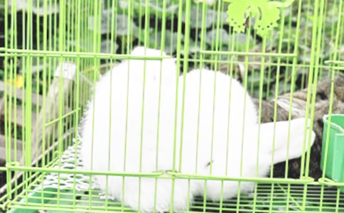 ��д���ӵľ���