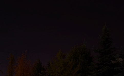 ��������ǩ�����ܣ���ѡ195�䣩