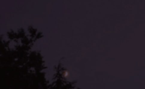 常用个性晚安句子汇总(精选135句)