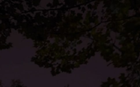 ΢��΢������Ȧ��������