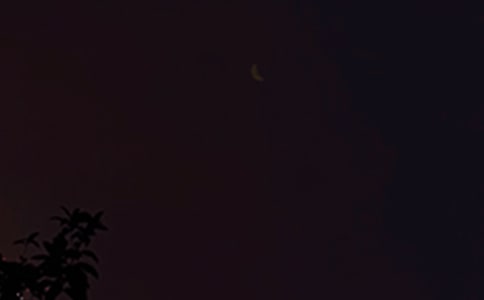 �����������ӣ���ѡ65�䣩