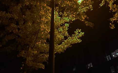 ���ڸ����������Ӵ�ȫ170��