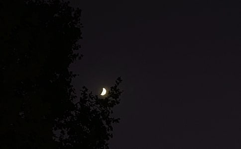 ������ߵ�����˵˵