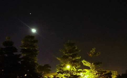 热门治愈晚安句子大全50句精选