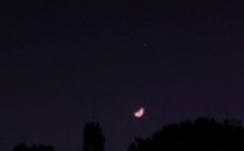 最新暖心晚安句子汇总(精选125句)