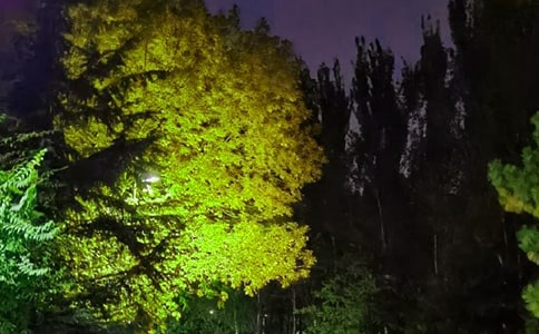 ���Ÿ����������ӻ��ܣ���ѡ165�䣩