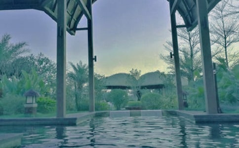 ������Ȫ����������