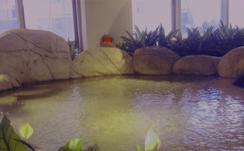 温泉的作文300字汇编4篇