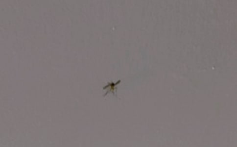 Сѧ��������300��ʵ�ã�7ƪ��