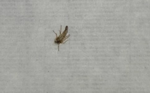 ������ҧ�ľ���˵˵ 