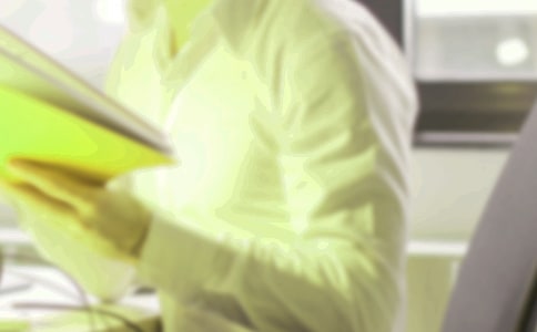 文员工作自我鉴定