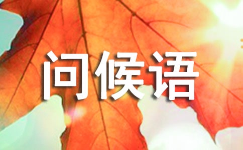 �����ʺ������