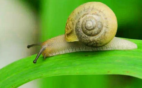 �۲���ţ������300��