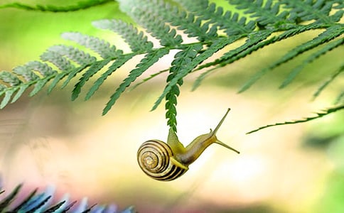 ��ǣ����ţɢ��������У�ͨ��16ƪ��