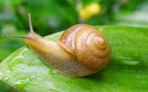 ��������ĸ������ţ���Ķ���ϰ�ʹ�