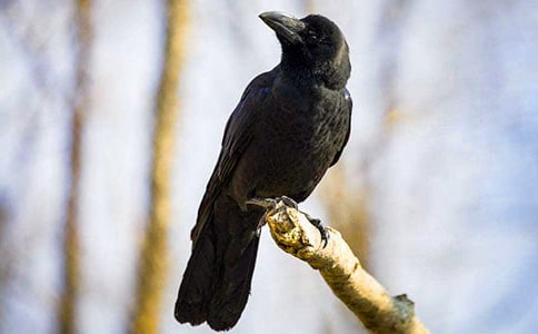 ��ѻ��ˮ�����