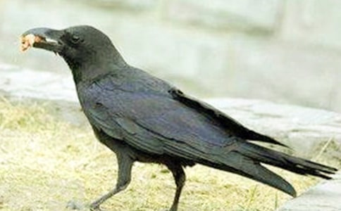 ����ѻ��ˮ�������(�ϼ�15ƪ)