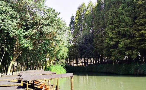 [����]ʵ�õ���������300��4ƪ