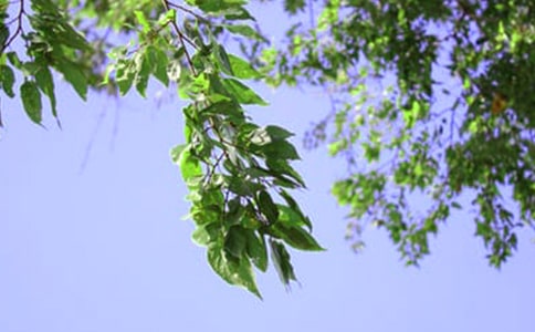 经典个性午安签名(精选100句)