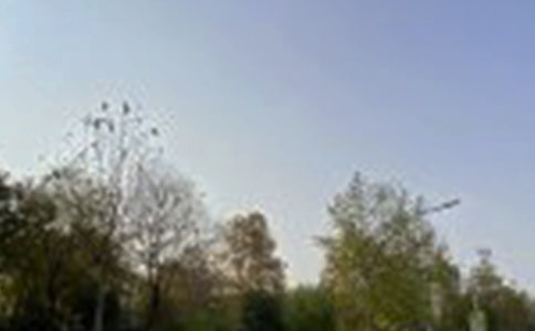 个性午安句子大全100句精选