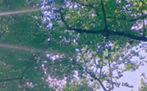 个性午安句子大全60句精选