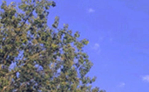 ��������Ȧ�簲˵˵��ͨ��60�䣩