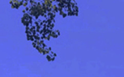 ���ڸ����簲���Ӵ�ȫ80�侫ѡ