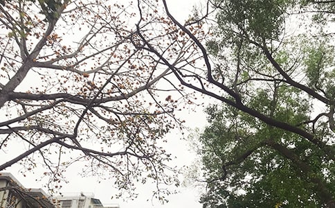 关于个性午安句子(精选80句)