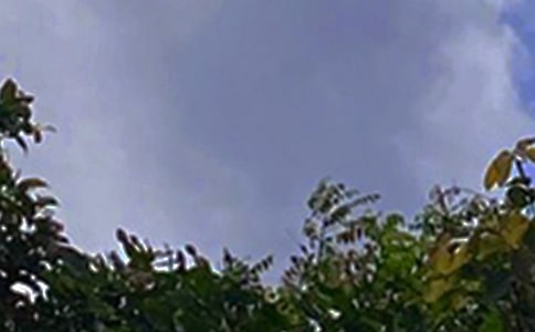 �����簲���Ӵ�ȫ����ѡ80�䣩