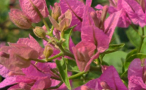 朋友圈午安句子(精品)