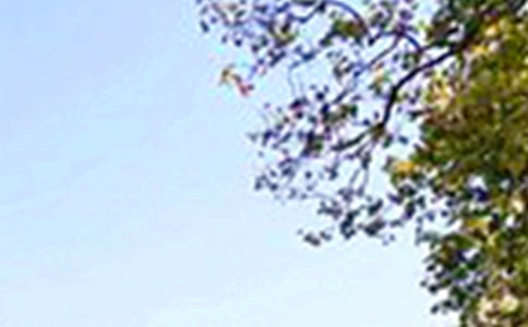 �����簲���ӻ��ܣ���ѡ60�䣩