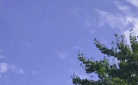 个性午安签名(精选270句)