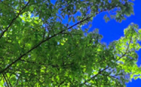 个性午安句子80句