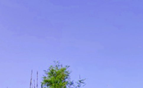 关于个性午安签名(精选90句)