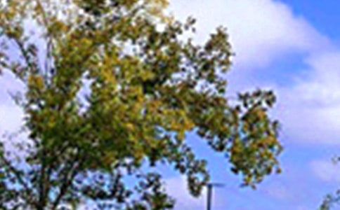 ���ڸ����簲���Ӵ�ȫ��ͨ��80�䣩