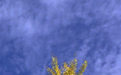 个性午安句子大全70句