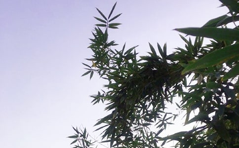 ��������簲ǩ�����ܣ���ѡ80�䣩