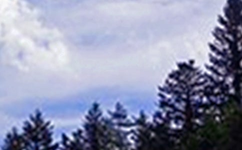 温馨午安说说大全(精选90句)