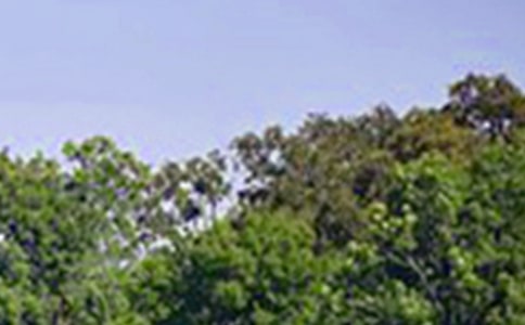 关于个性午安句子(精选40句)